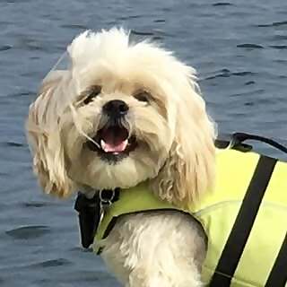 Teddy 