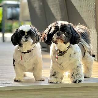 Sinead Kelly Herbert