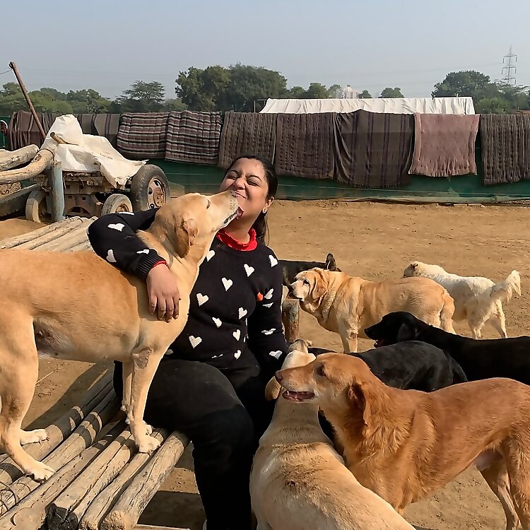 Nupur Godboley