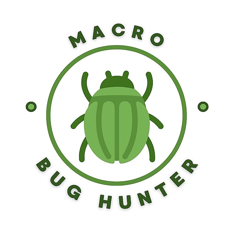 Manfred Auer