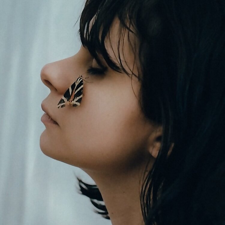 Natacha Birds