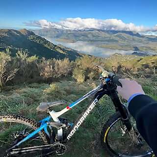 Taylor Quin Carpenter