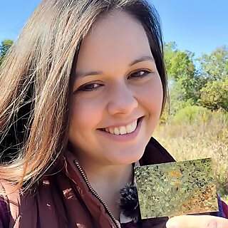 Lisa R. Cornwell