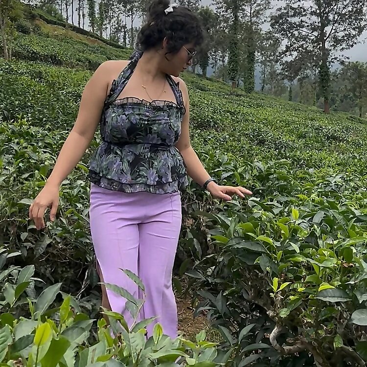 The Tiny Cooking Show