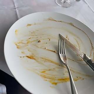 Darwin Dish Diariers