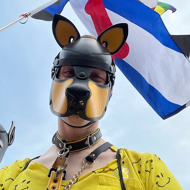 Pup Voltzy