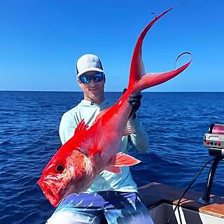 Cameron Alexander Kirkconnell