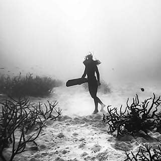 Giovanna Yoanita Bercolli