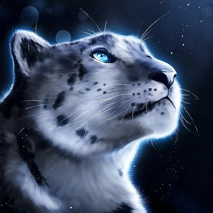 Saphira Williams