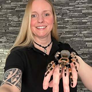 Passion for Spiders