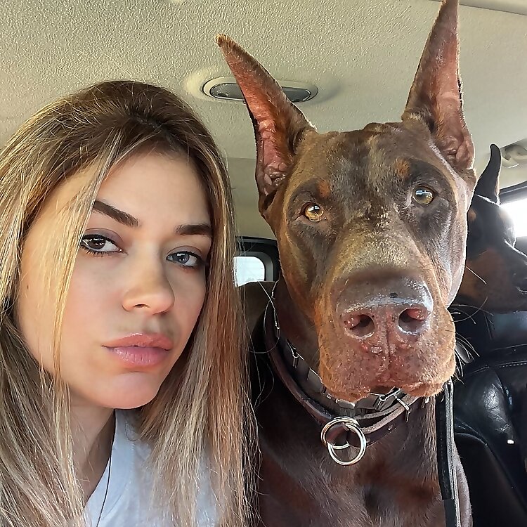 Sahar Shishavi