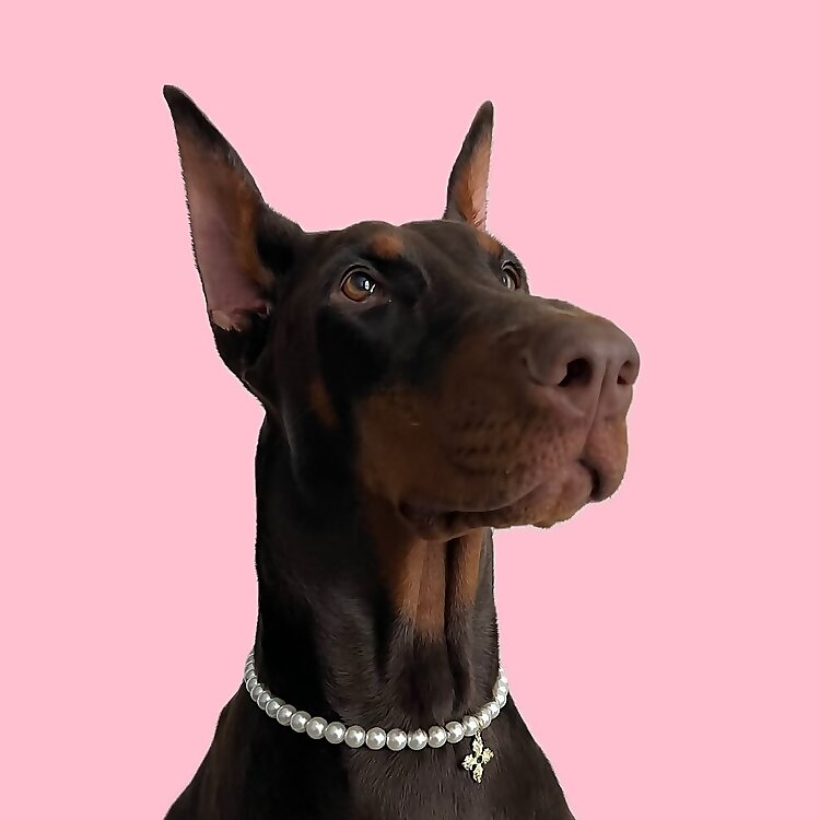 Raya
