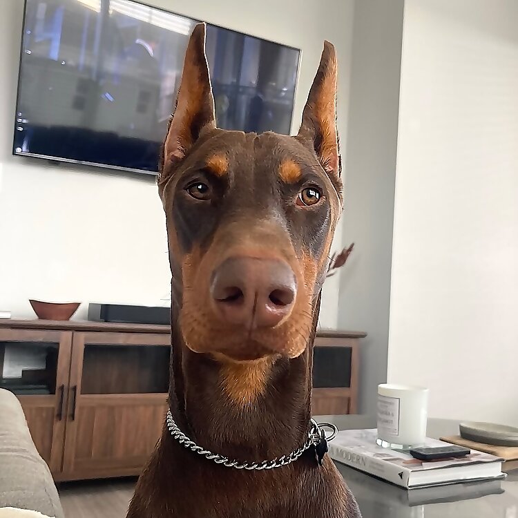 Tito