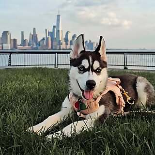 Meeka