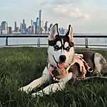 Meeka