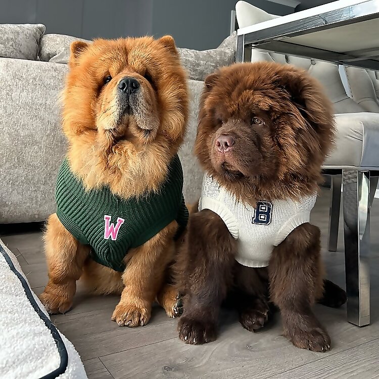 Winnie & Bert