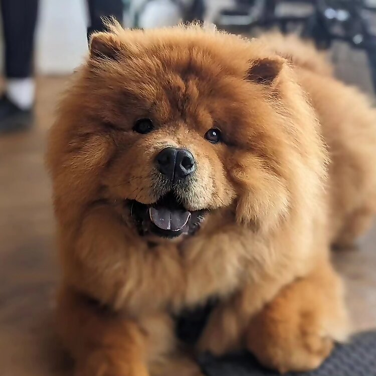 Pablo