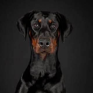 Lucy