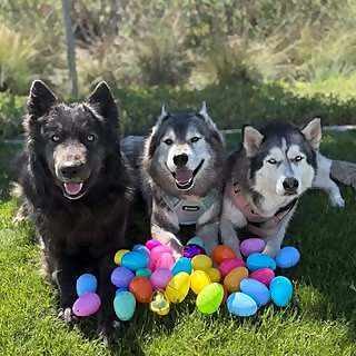 Eva, Ranger & Ghost