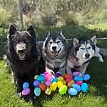 Eva, Ranger & Ghost
