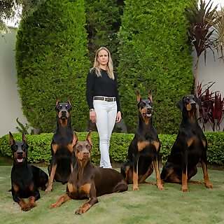Leslie Stark