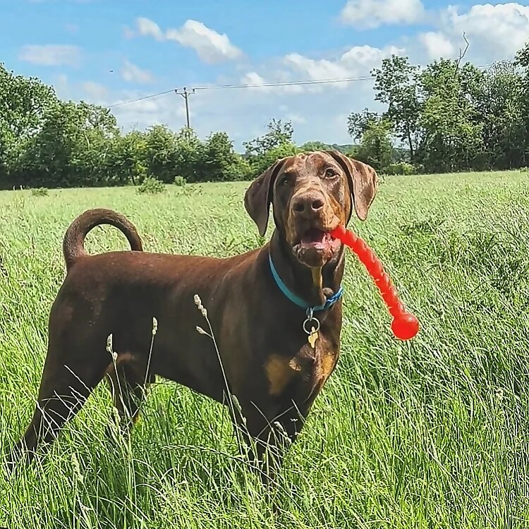 Ragnar