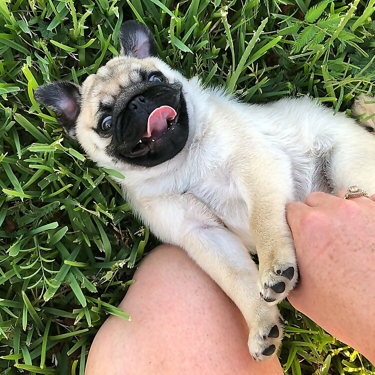 Fancy Jean Levine & Juicy Queen