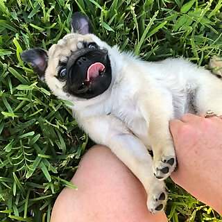 Fancy Jean Levine & Juicy Queen