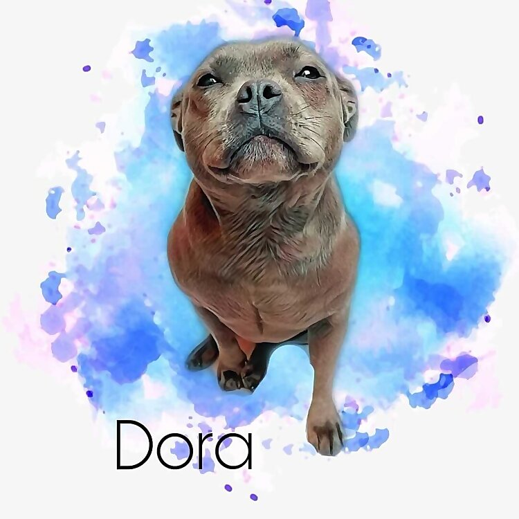 Dora