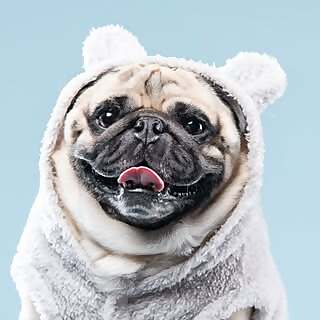 Leslie Mitcham and Eli Mitcham