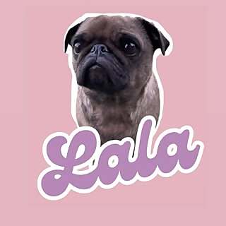 Lala 