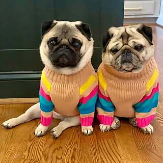 Marti & Tina