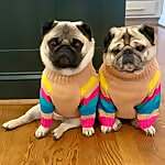 Marti & Tina