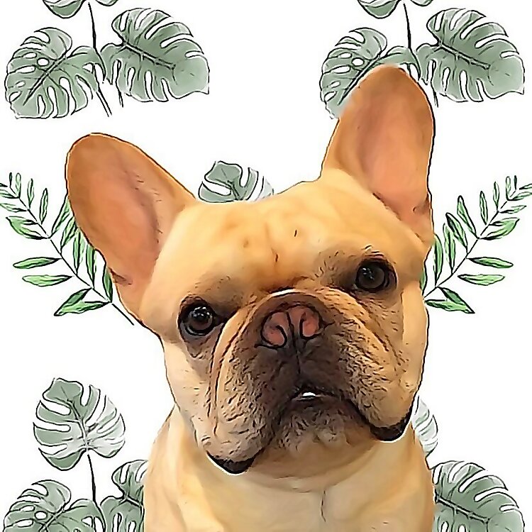 Hugo