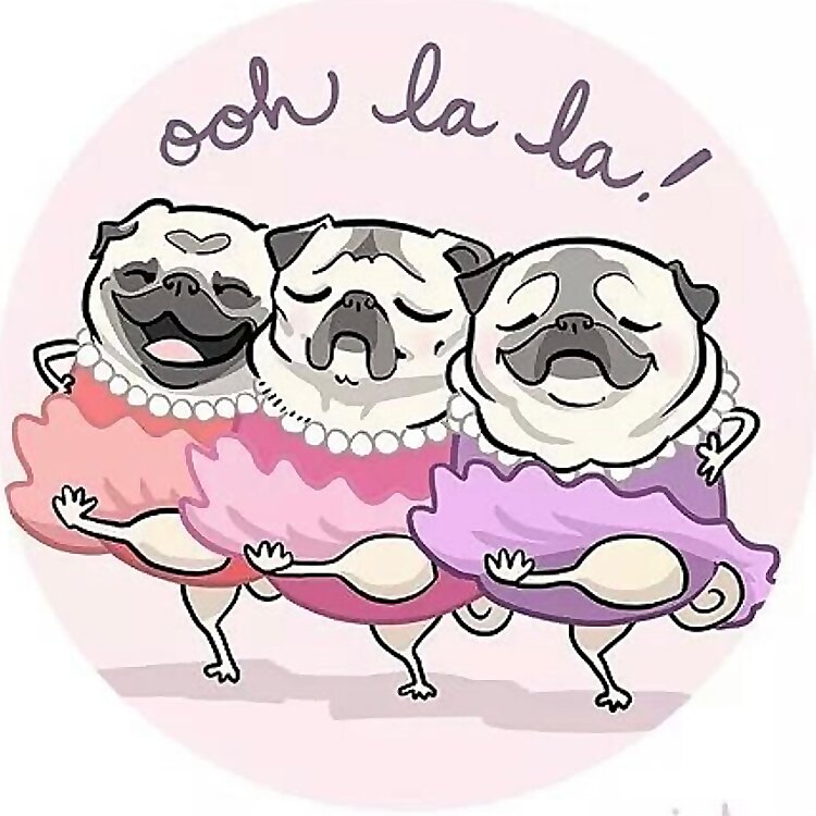 Sissy, Tilly, Natty & Missy 