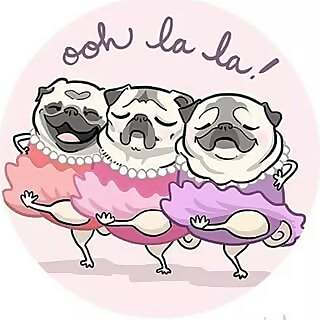 Sissy, Tilly, Natty & Missy 