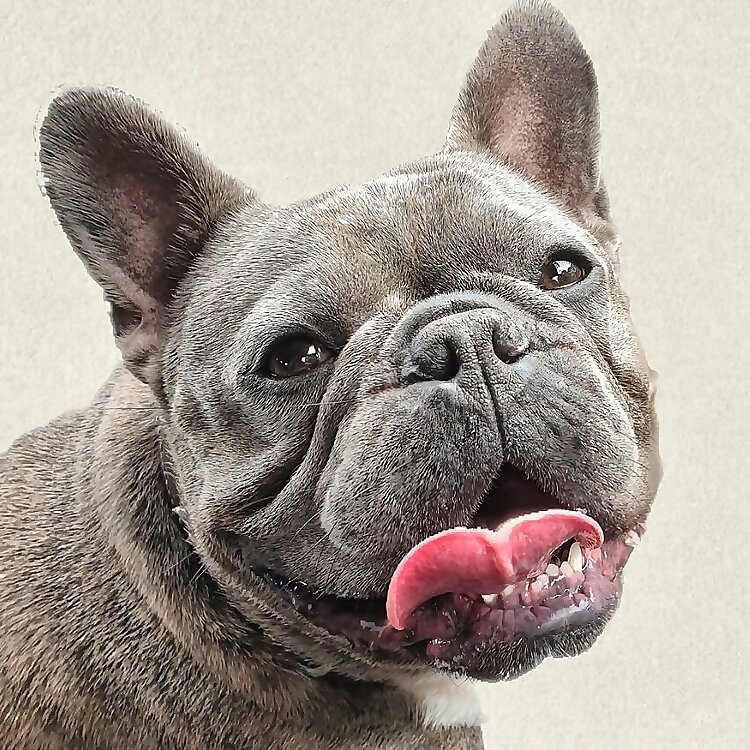 Frank