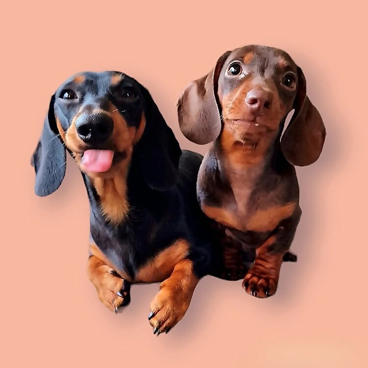 Buddy Nugget & Freddie Elvis