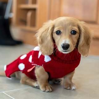 Nicole Katsounakis & Mark Azarian