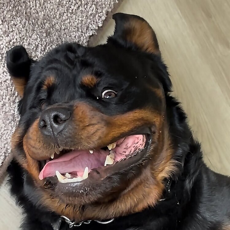 Anounk Lodder & Ingmar Donker