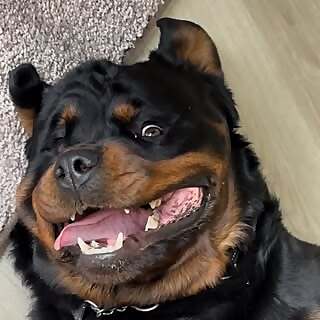 Anounk Lodder & Ingmar Donker