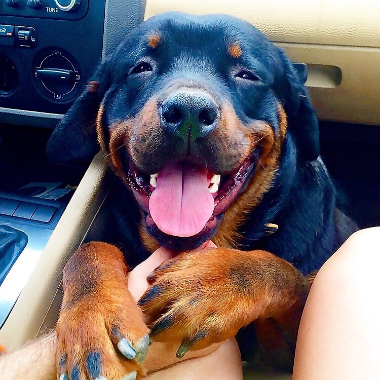 Nina Dujanovic & Duja