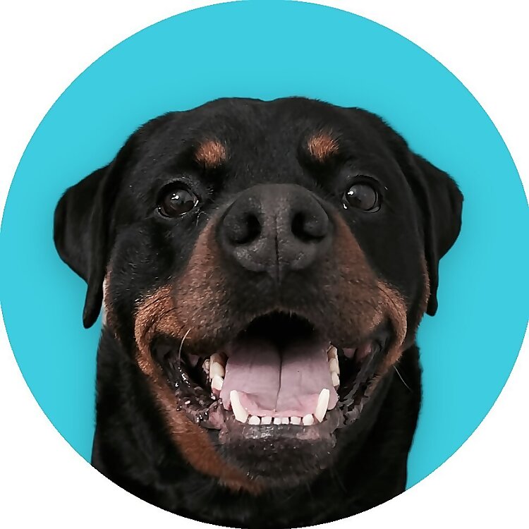Julio