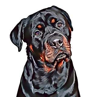 Enzo