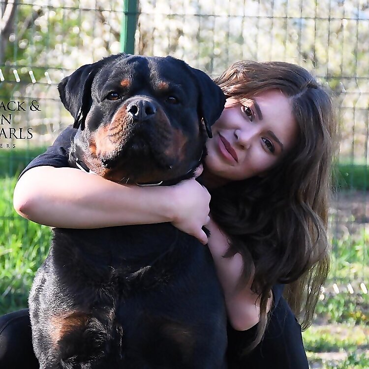 Jovana Gavrilovic