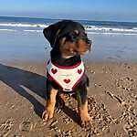 Romeo