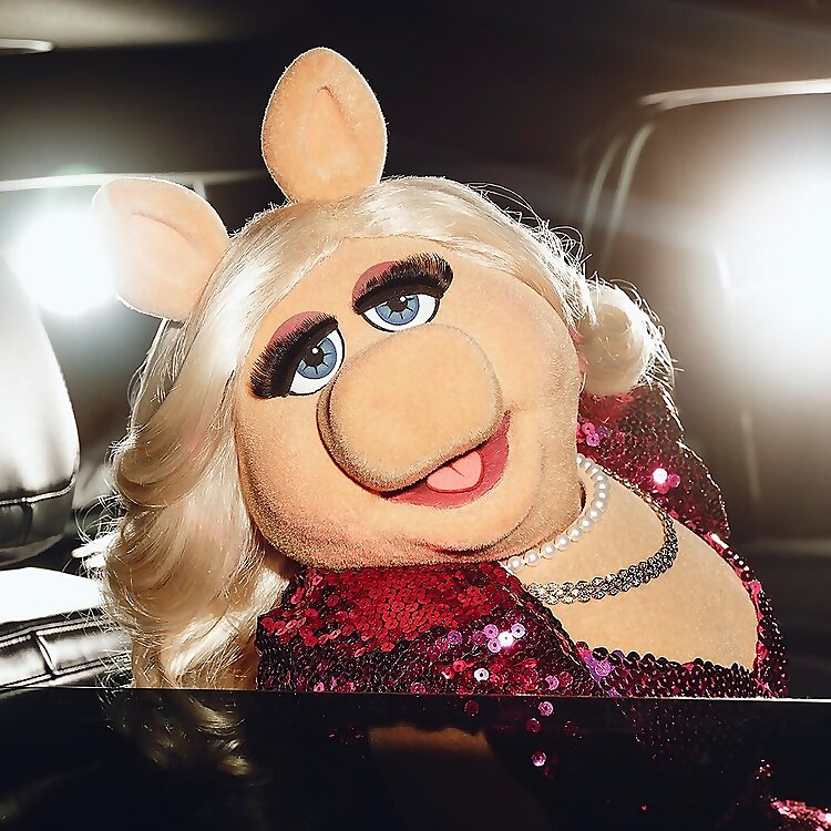 Piggy