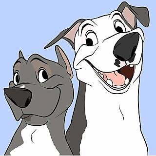 Harris & Vivian