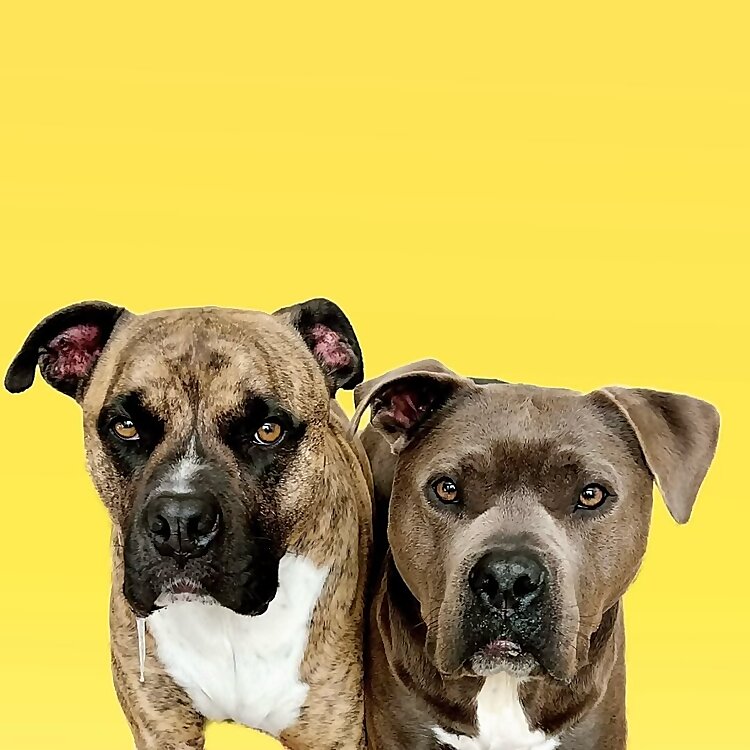 Benjamin Theodore Button & Lola Mae Gooseberry