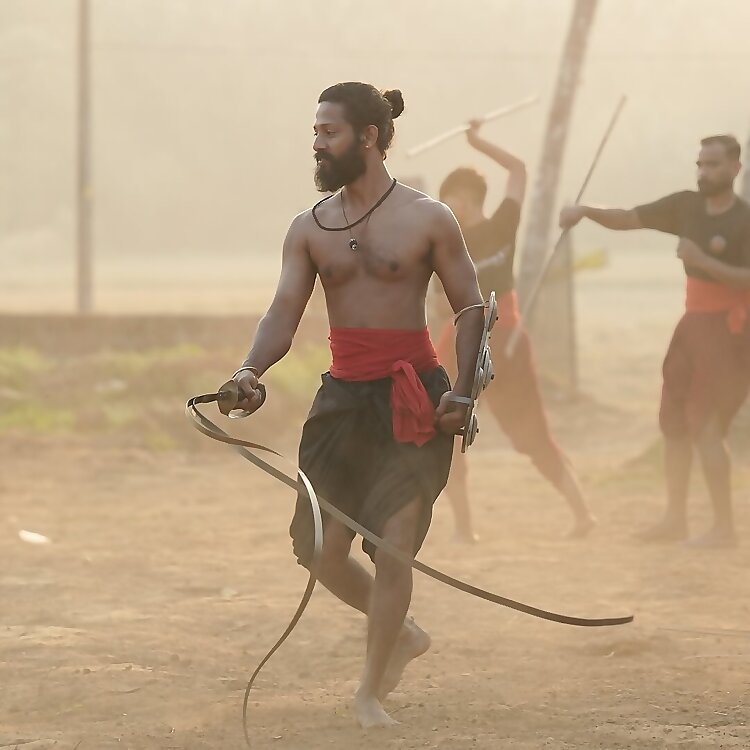 Vipin Gurukkal